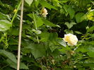 DSCN9977