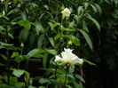 DSCN9979