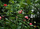 DSCN9981