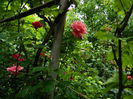 DSCN9983