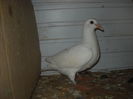 DSCN0451