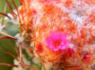 DSCN7028