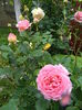 DSCN2418