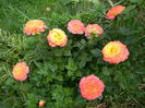 Gartenspass
