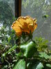 DSCN6008
