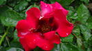 DSC06546