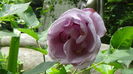 DSC06855