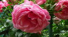 DSC06901