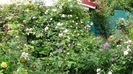 DSC06931
