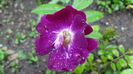 DSC06946