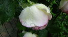 DSC07059