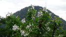 DSC07201