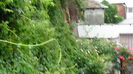 DSC07267