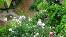 DSC07272