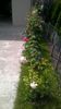 WP_20160601_15_35_22_Pro