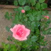 IMG_20160601_161818