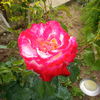 IMG_20160601_181157