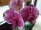 20160602_073454