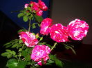 DSC08910