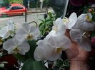 20160602_073827