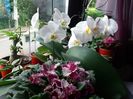 20160602_073809