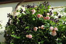 Abraham DArby si Romantika