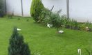 20160602_180023