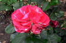 IMG_20160602_180855