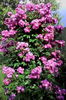 IMG_20160602_180904