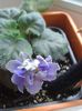 20160525_070745