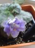 20160525_070752