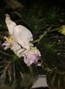 20160525_070844