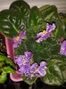 20160525_070945
