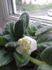 20160525_071008