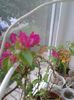 20160525_071049