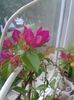 20160525_071054