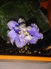 20160525_171752