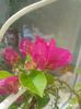 20160527_095845