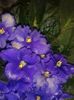 20160527_112934
