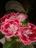 20160527_112945