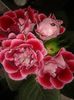 20160527_112952