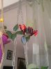 20160529_085600