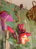 20160529_085607