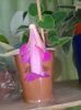 20160529_091050