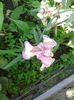 20160529_110532