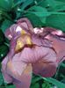 20160529_110540