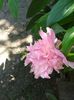 20160529_110559