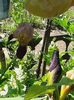 20160529_110624