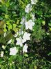 20160529_110724