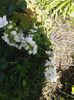 20160529_110731